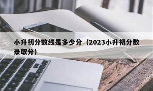 2021年至2022年小升初考试成绩_2022小升初分数查询