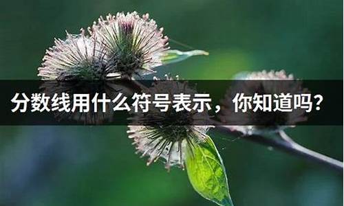 分数线用什么表示_分数线的横线表示什么